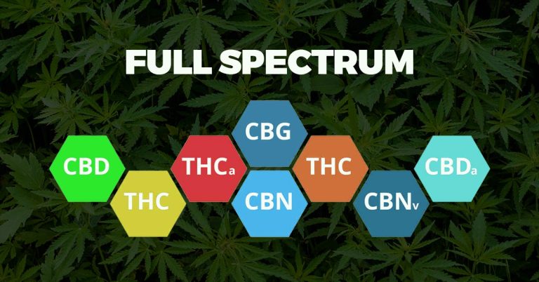 C’est quoi le Full Spectrum CBD ?