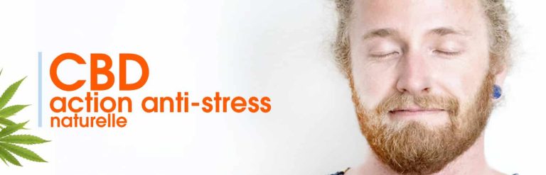 Quel CBD contre le stress et l’anxiété ?